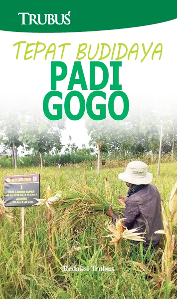 Tepat Budidaya Padi Gogo