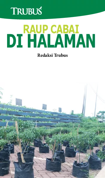 Raup Cabai di Halaman