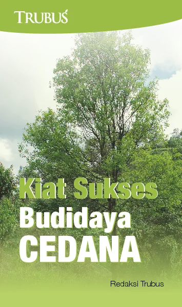 Kiat Sukses Budidaya Cendana