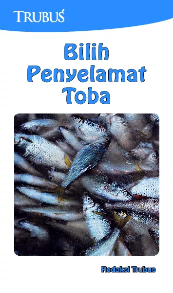 Bilih Penyelamat Toba
