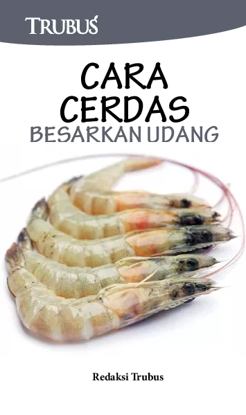Cara Cerdas Besarkan Udang