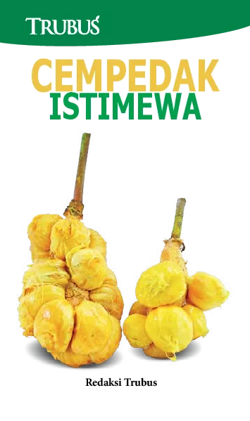 Cempedak Istimewa