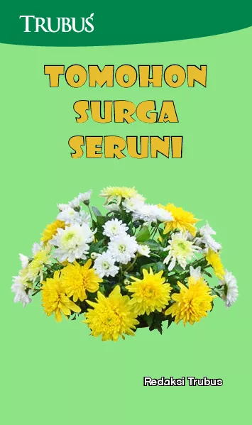 Tomohon Surga Seruni