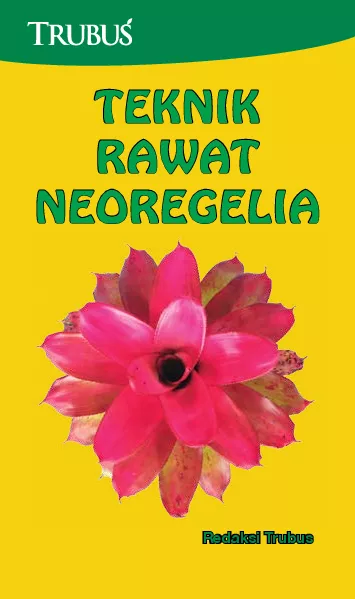 Teknik Rawat Neoregelia