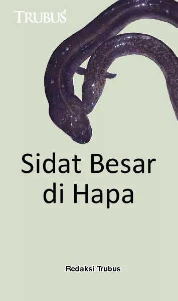 Sidat Besar di Hapa