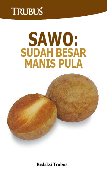 Sawo: Sudah Besar, Manis Pula