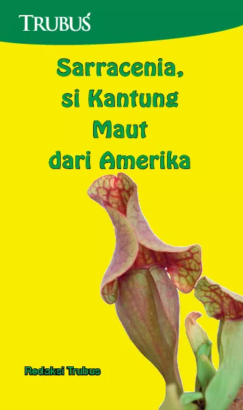 Sarracenia, si Kantung Maut dari Amerika