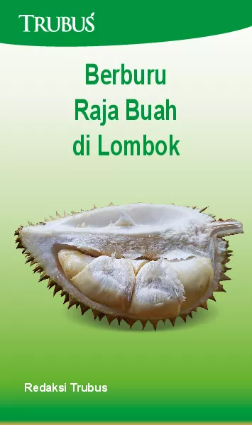 Berburu raja Buah di Lombok