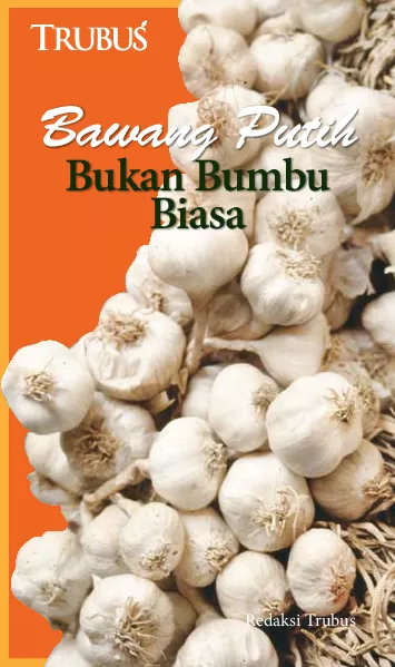 Bawang Putih Bukan Bumbu Biasa