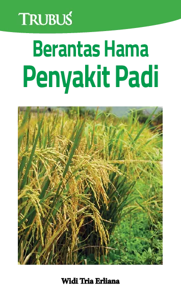 Berantas Hama Penyakit Padi