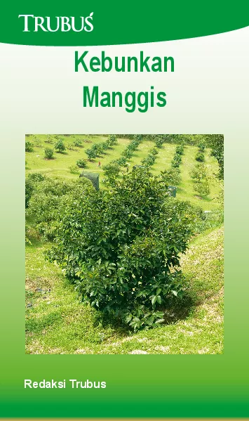 Kebunkan Manggis