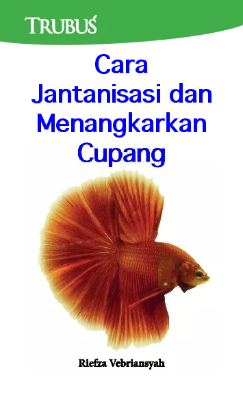 Cara Jantanisasi dan Menangkarkan Cupang