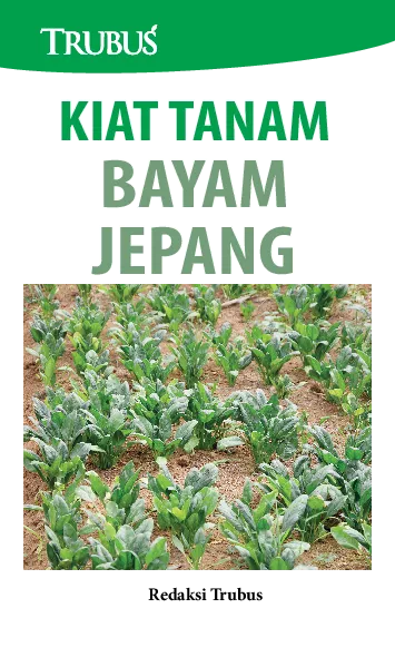 Kiat Tanam Bayam Jepang