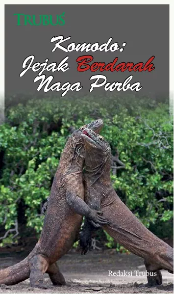 Komodo: Jejak Berdarah Naga Purba