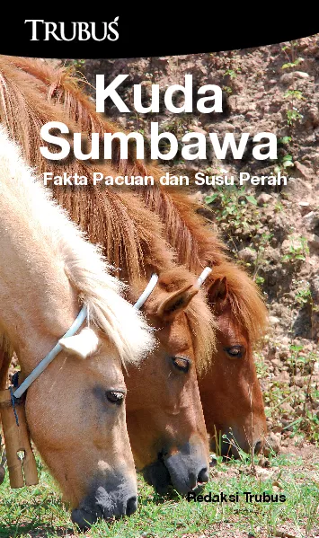 Kuda Sumbawa : Fakta Pacuan dan Susu Perah