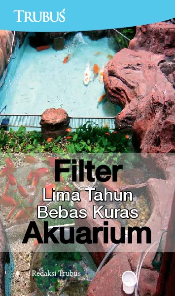 Filter: Lima Tahun Bebas Kuras Akuarium