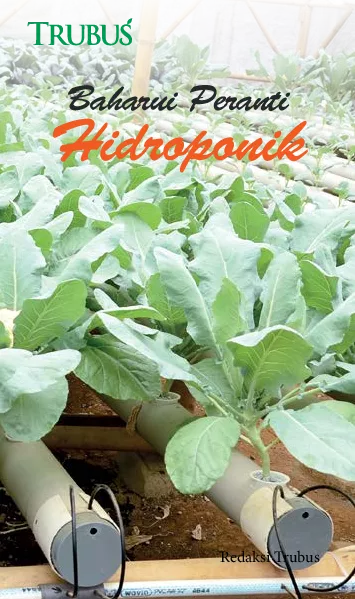 Baharui Peranti Hidroponik