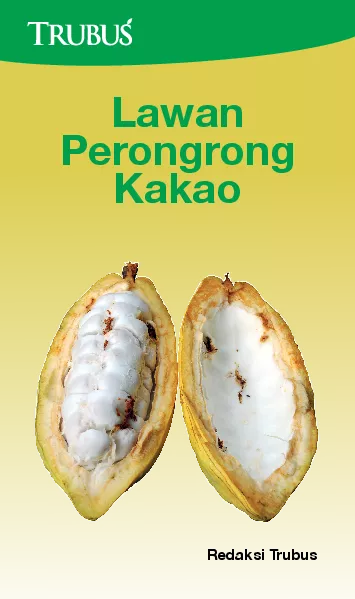 Lawan Perongrong Kakao