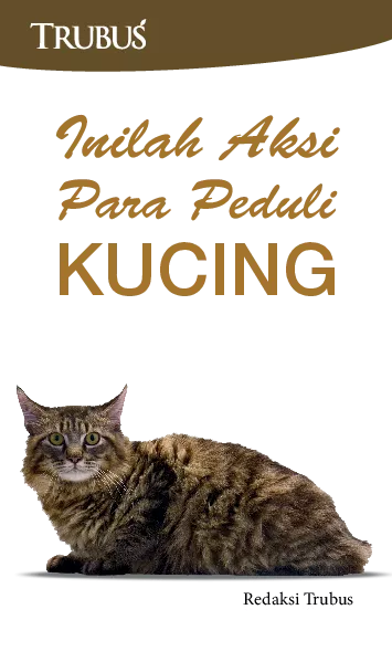 Inilah Aksi Para Peduli Kucing