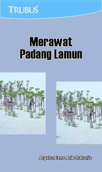 Merawat Padang Lamun