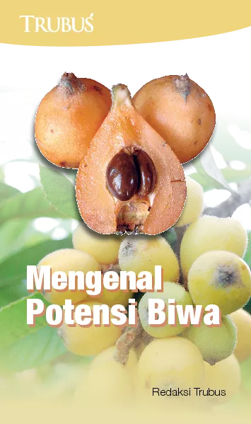 Mengenal Potensi Biwa