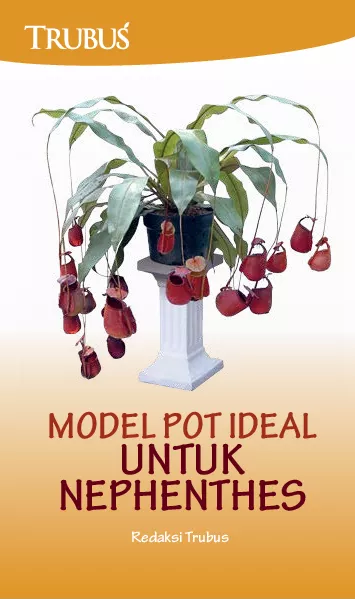 Model Pot Ideal untuk Nephenthes