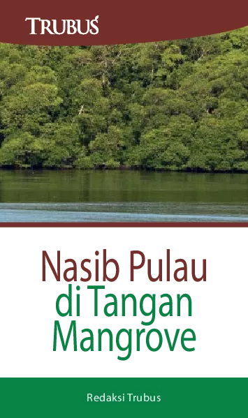 Nasib Pulau di Tangan Mangrove