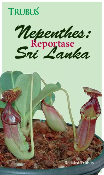 Nepenthes: Reportase Sri Lanka