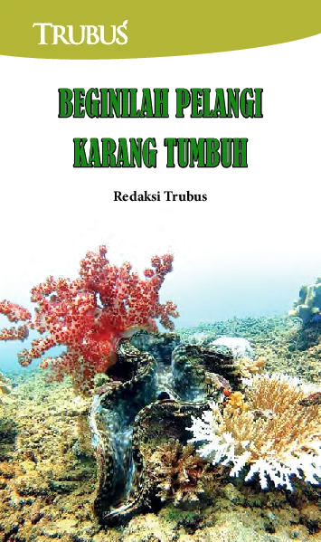 Beginilah Pelangi Karang Tumbuh