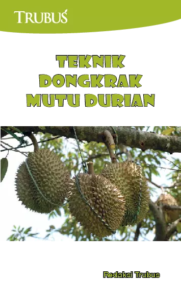 Teknik Dongkrak Mutu Durian
