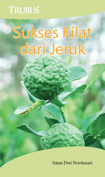 Sukses Kilat dari Jeruk