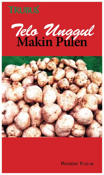 Telo Unggul Makin Pulen