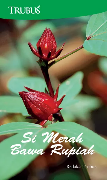 Si Merah Bawa Rupiah
