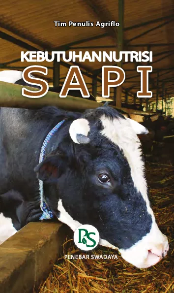 Kebutuhan Nutrisi Sapi