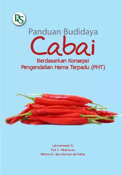 Panduan Budidaya Cabai