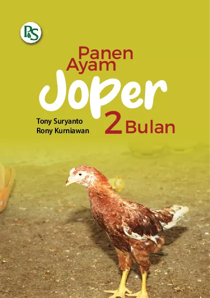 Panen Ayam Joper 2 bulan
