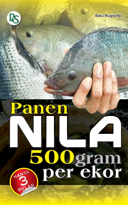 Panen Nila 500 gram per ekor