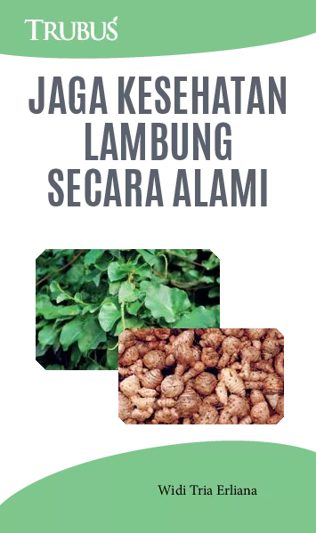 Jaga Kesehatan Lambung Secara Alami