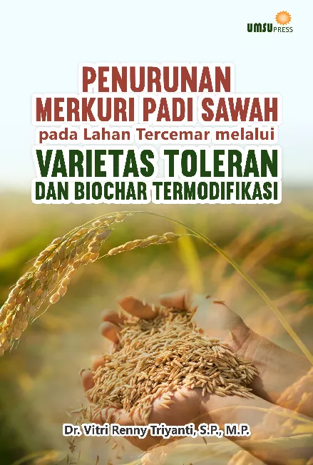 Penurunan Merkuri Padi Sawah pada Lahan Tercemar melalui Varietas Toleran dan Biochar Termodifikasi