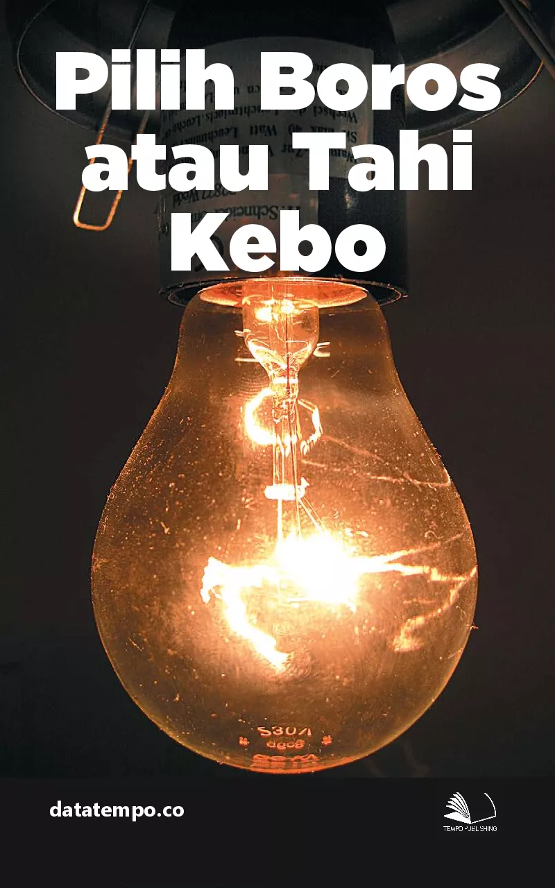 Pilih Boros atau Tahi Kebo