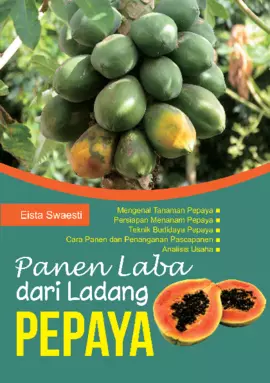 Panen Laba dari Ladang Pepaya