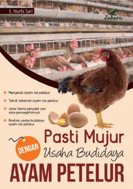 Pasti Mujur dengan Usaha Budidaya Ayam Petelur