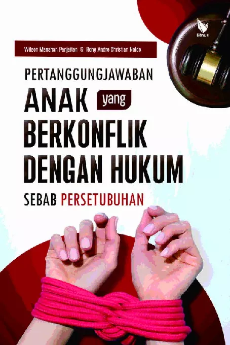 PERTANGGUNGJAWABAN ANAK YANG BERKONFLIK DENGAN HUKUM SEBAB PERSETUBUHAN