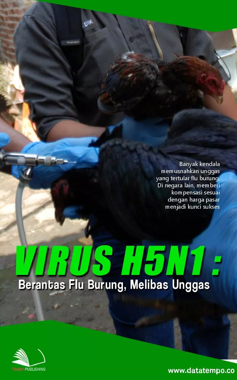 Virus H5N1 : berantas flu burung, melibas unggas