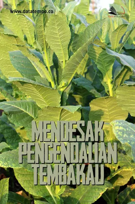 Mendesak Pengendalian Tembakau