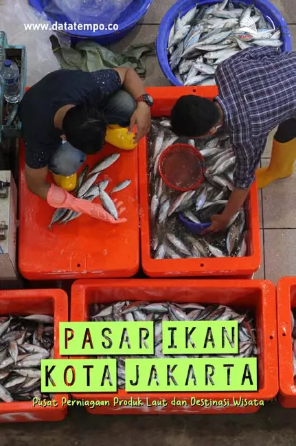 Pasar Ikan Kota Jakarta, Pusat Perniagaan Produk Laut dan Destinasi Wisata