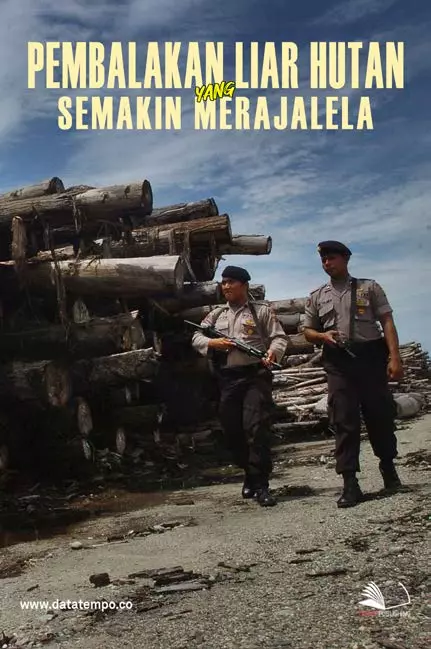 Pembalakan Liar Hutan yang Semakin Merajalela
