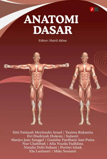 ANATOMI DASAR