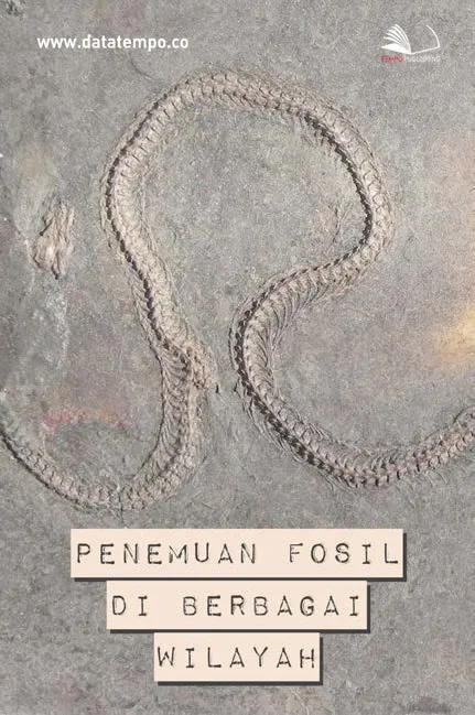 Penemuan Fosil di Berbagai Wilayah