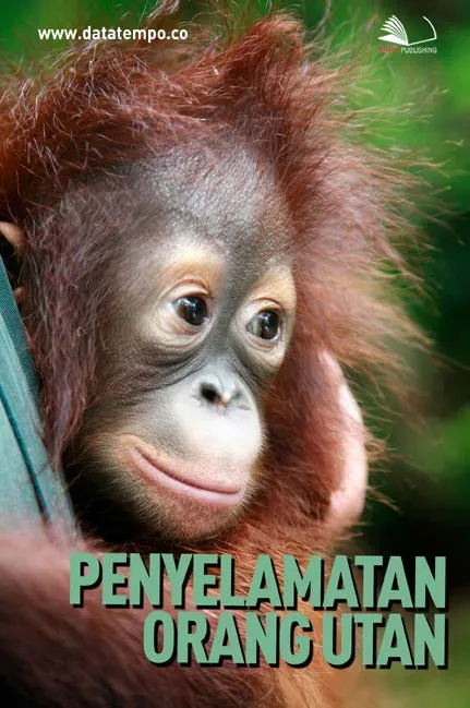 Penyelamatan Orang Utan